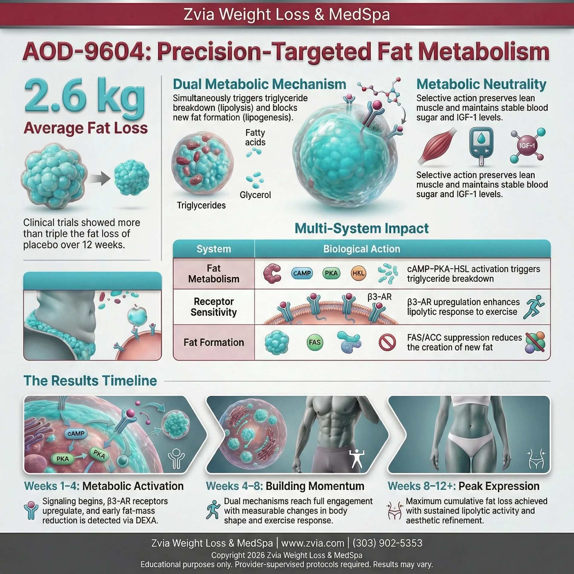 AOD-9604 treatment overview — benefits, dosing, and clinical protocol infographic
