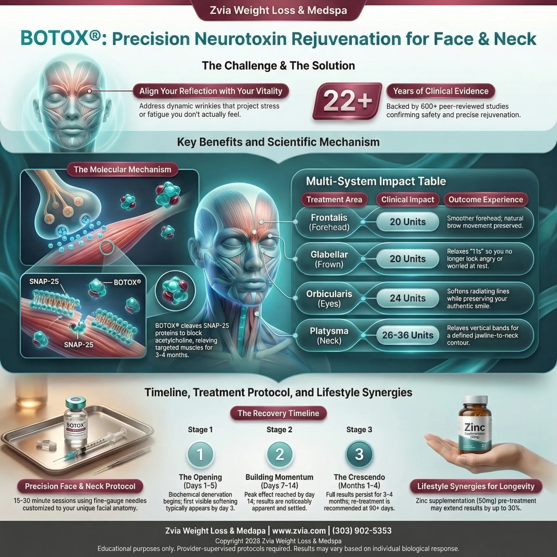 BOTOX® treatment overview — procedure details, expected results, and care guide infographic