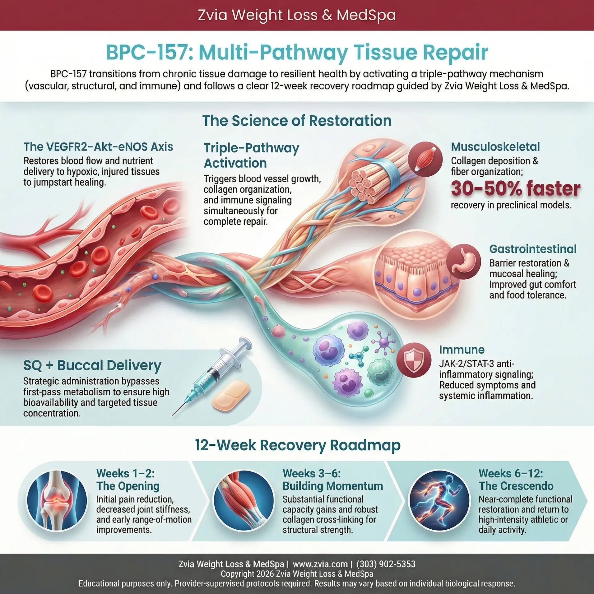 BPC-157 treatment overview — benefits, dosing, and clinical protocol infographic