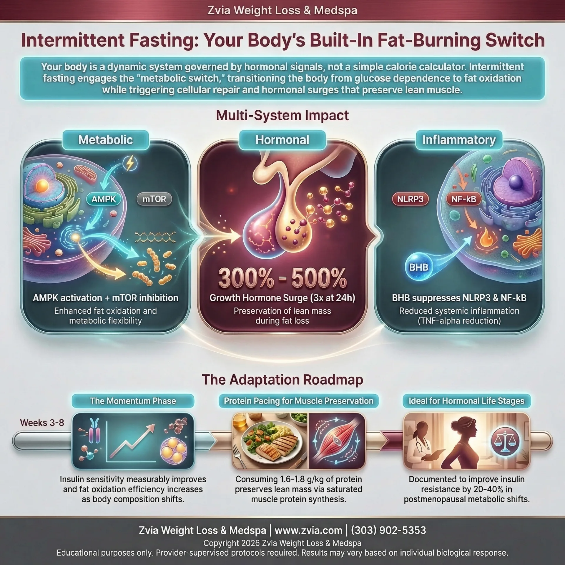 education treatment overview — benefits, dosing, and clinical protocol infographic
