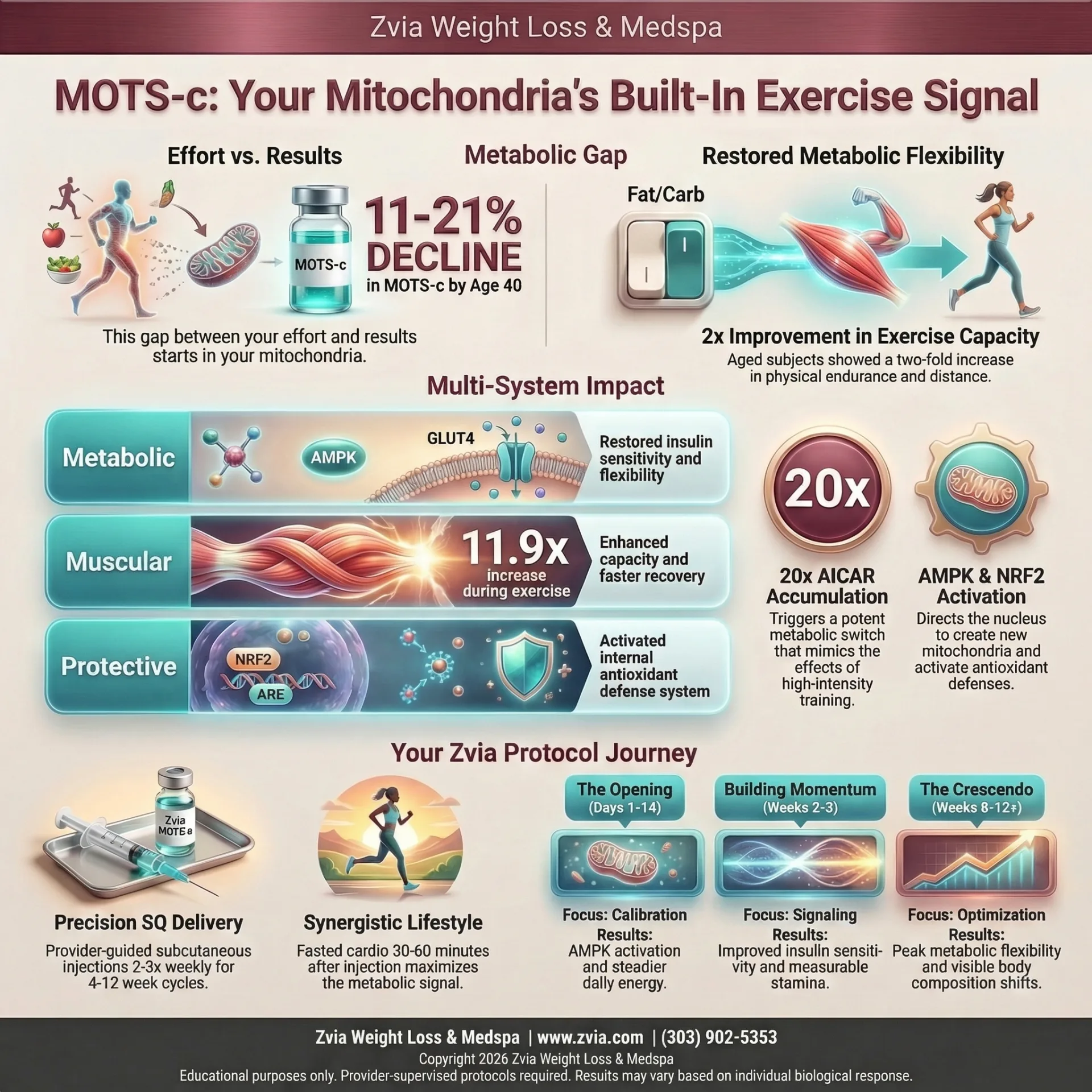 MOTS-c treatment overview — benefits, dosing, and clinical protocol infographic