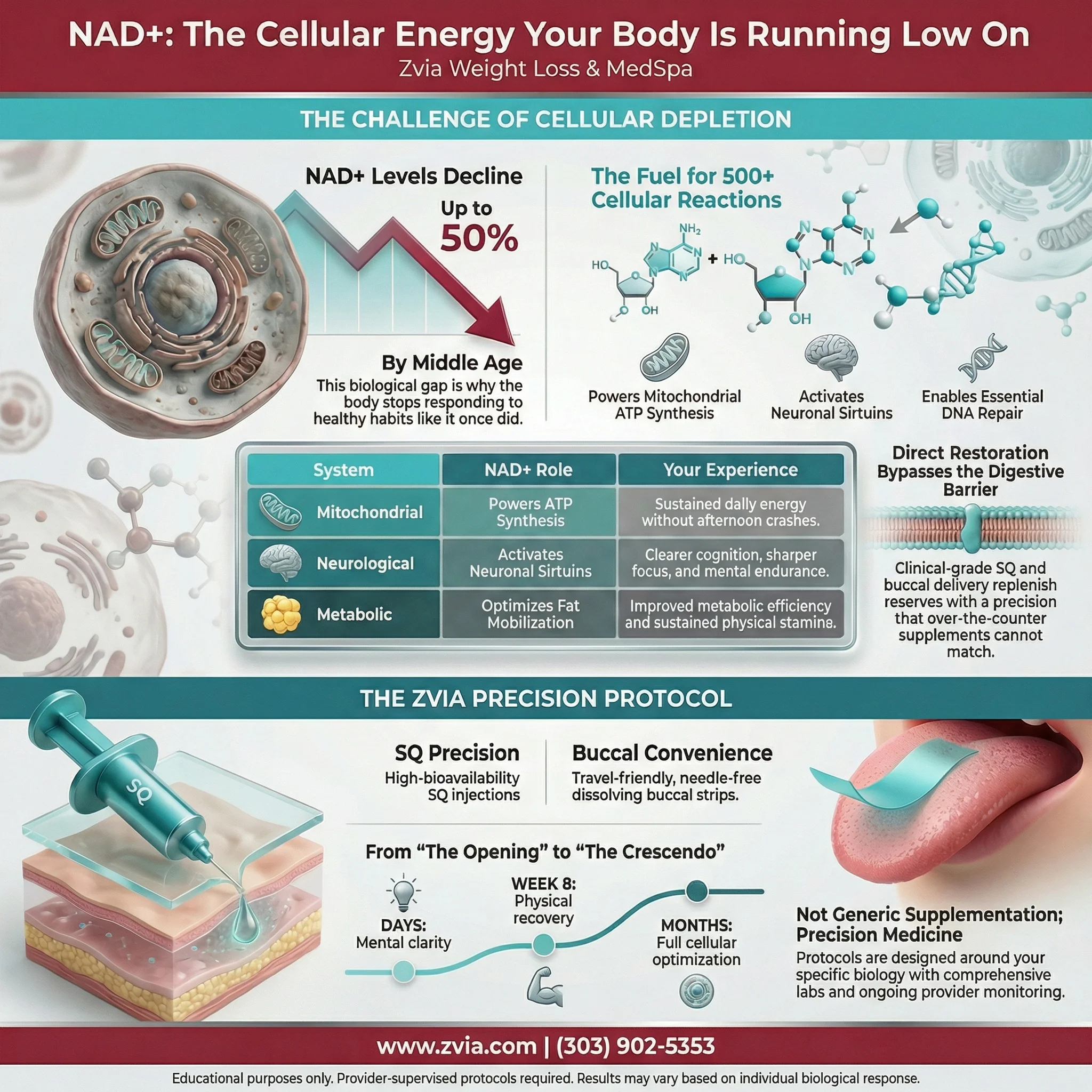 NAD+ treatment overview — benefits, dosing, and clinical protocol infographic