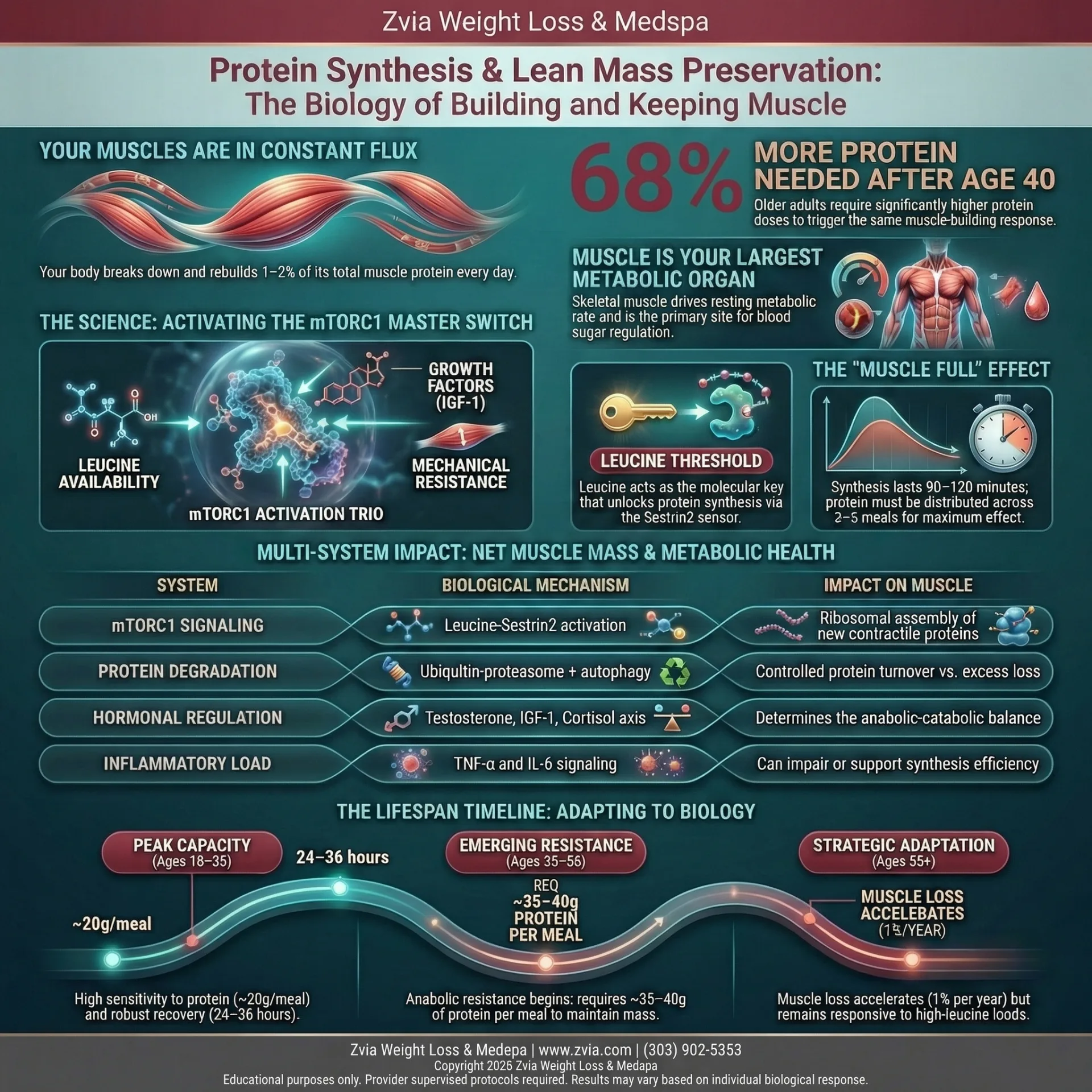 education treatment overview — benefits, dosing, and clinical protocol infographic