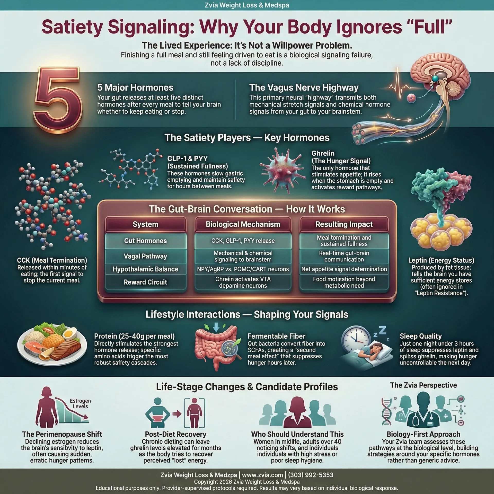 education treatment overview — benefits, dosing, and clinical protocol infographic