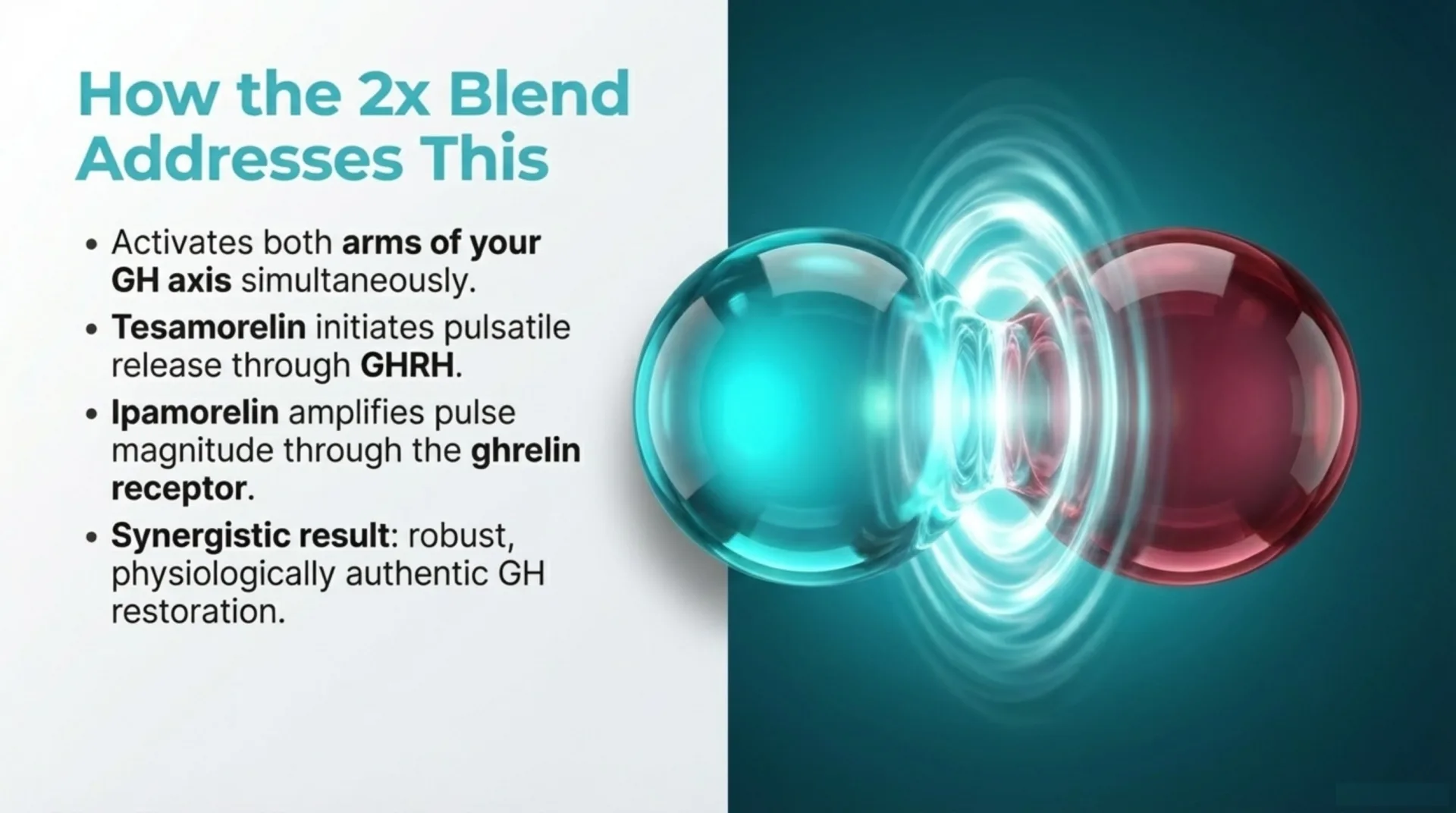2x Blend Protocol Guide — slide 3 of 13