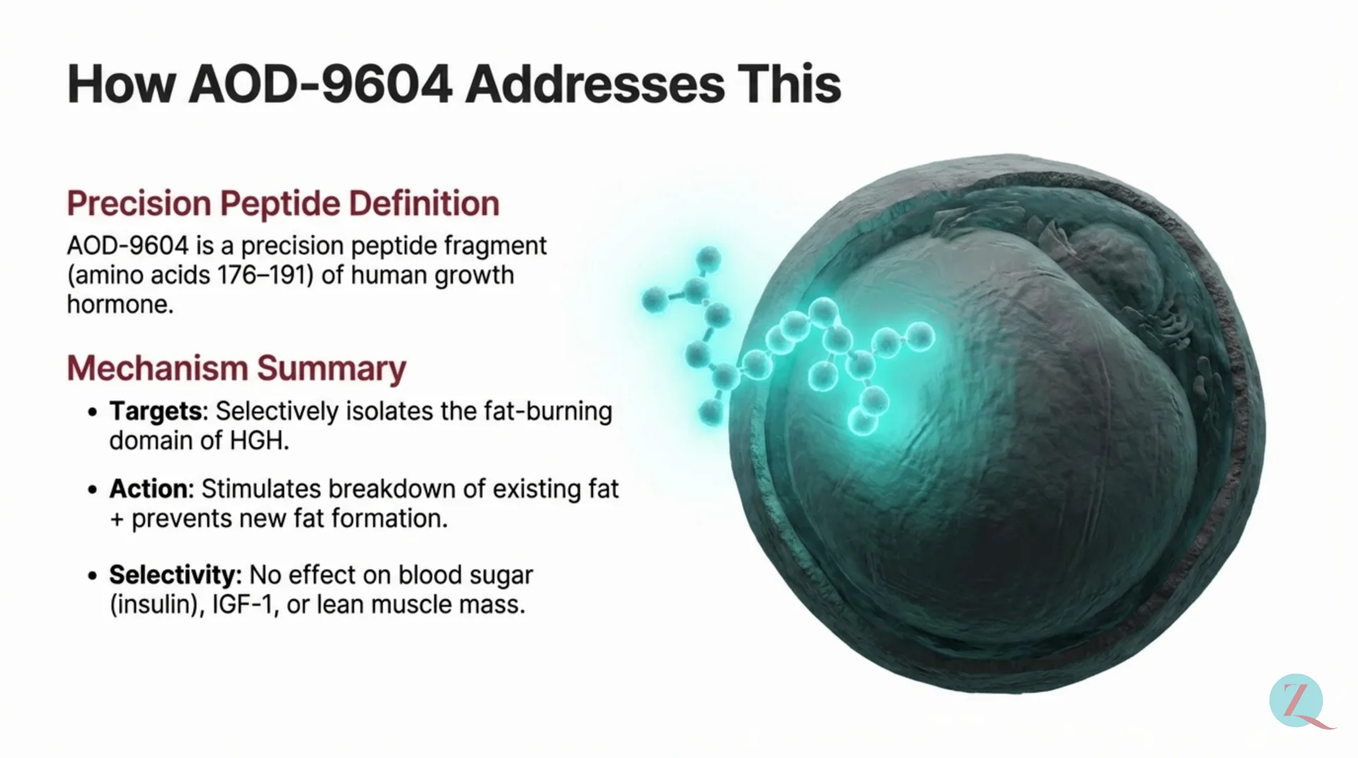 AOD-9604 Protocol Guide — slide 3 of 12
