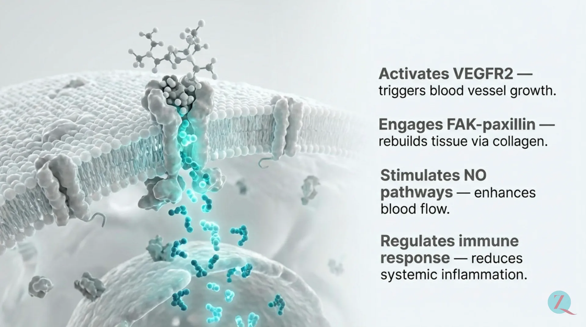 BPC-157 Protocol Guide — slide 4 of 12