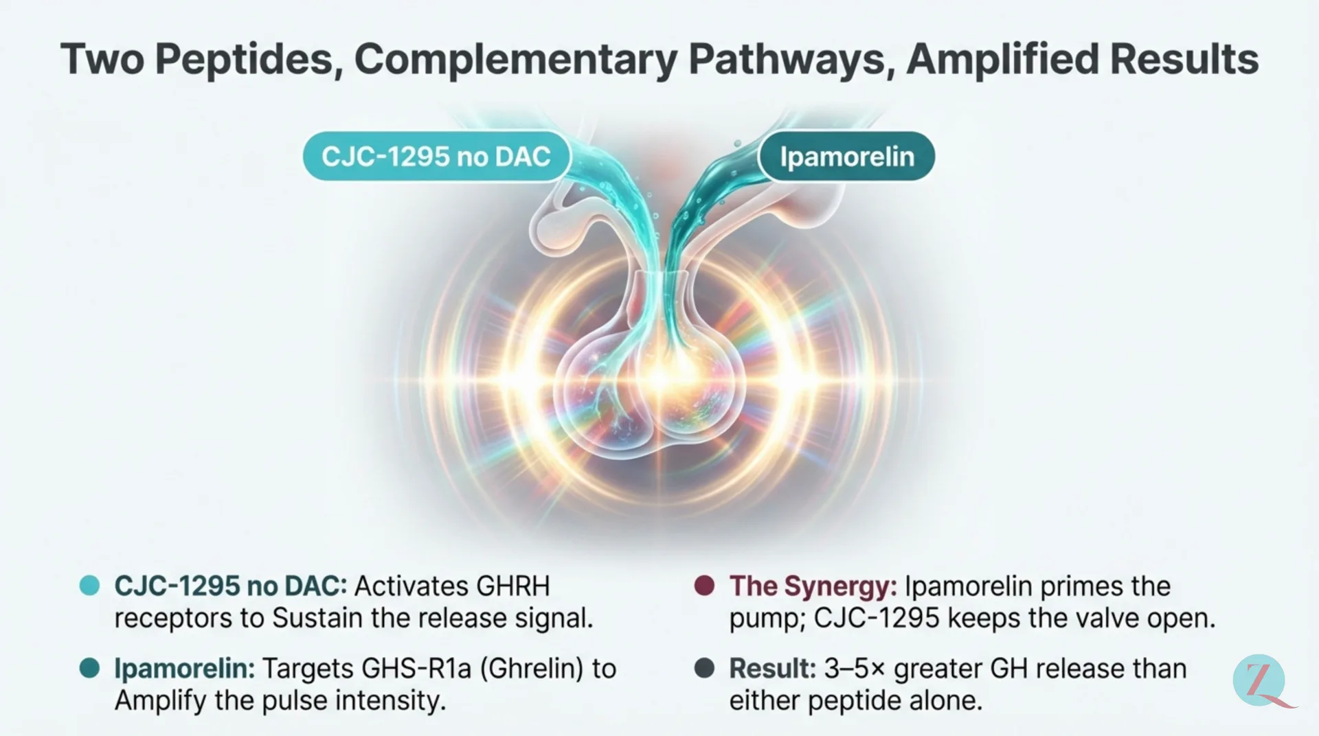 CJC-1295 / Ipamorelin Protocol Guide — slide 3 of 12
