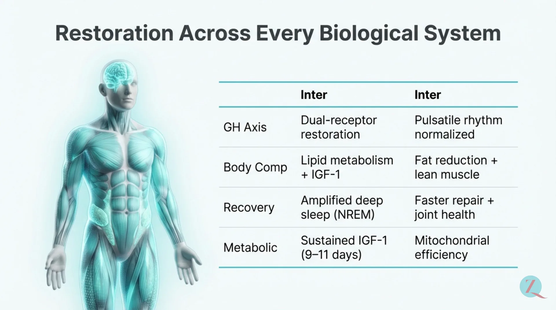 CJC-1295 / Ipamorelin Protocol Guide — slide 5 of 12