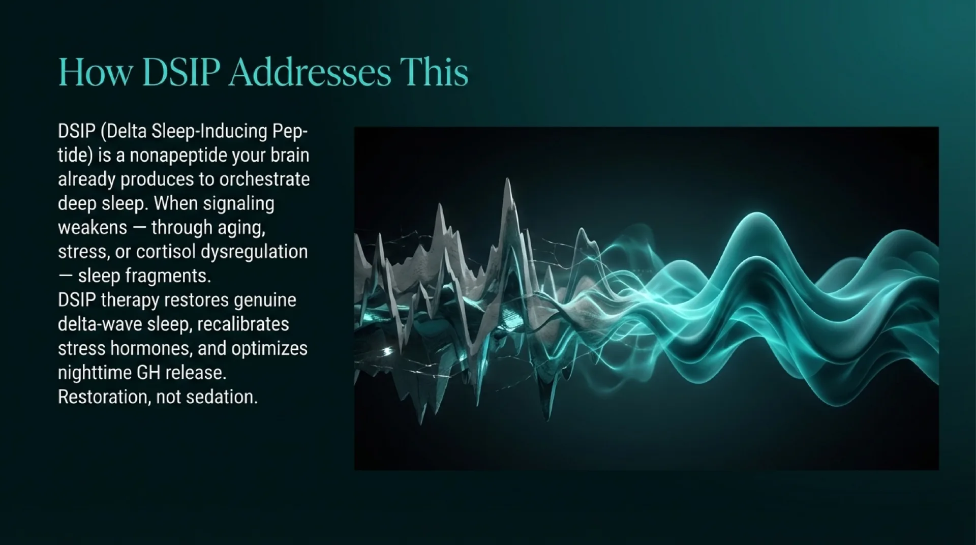 DSIP Protocol Guide — slide 3 of 13