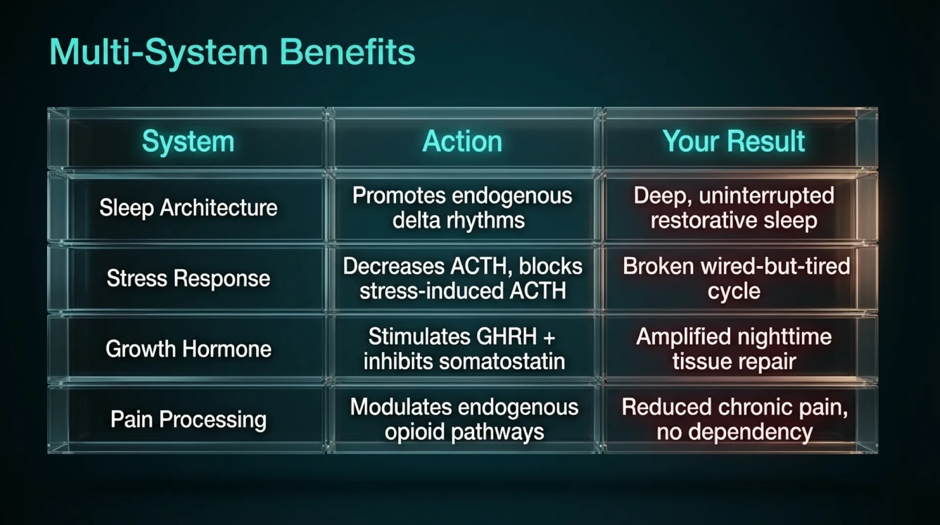 DSIP Protocol Guide — slide 5 of 13