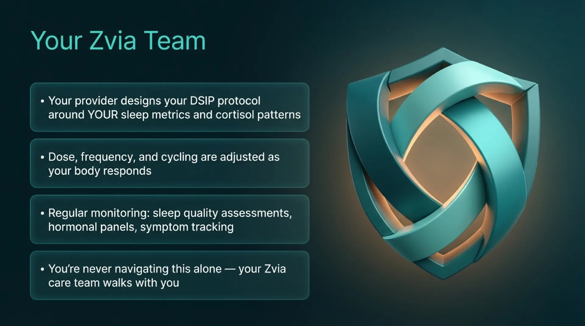 DSIP Protocol Guide — slide 10 of 13