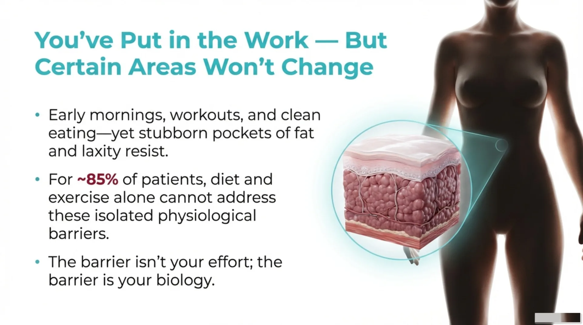Evolve X Transform Protocol Guide — slide 2 of 12
