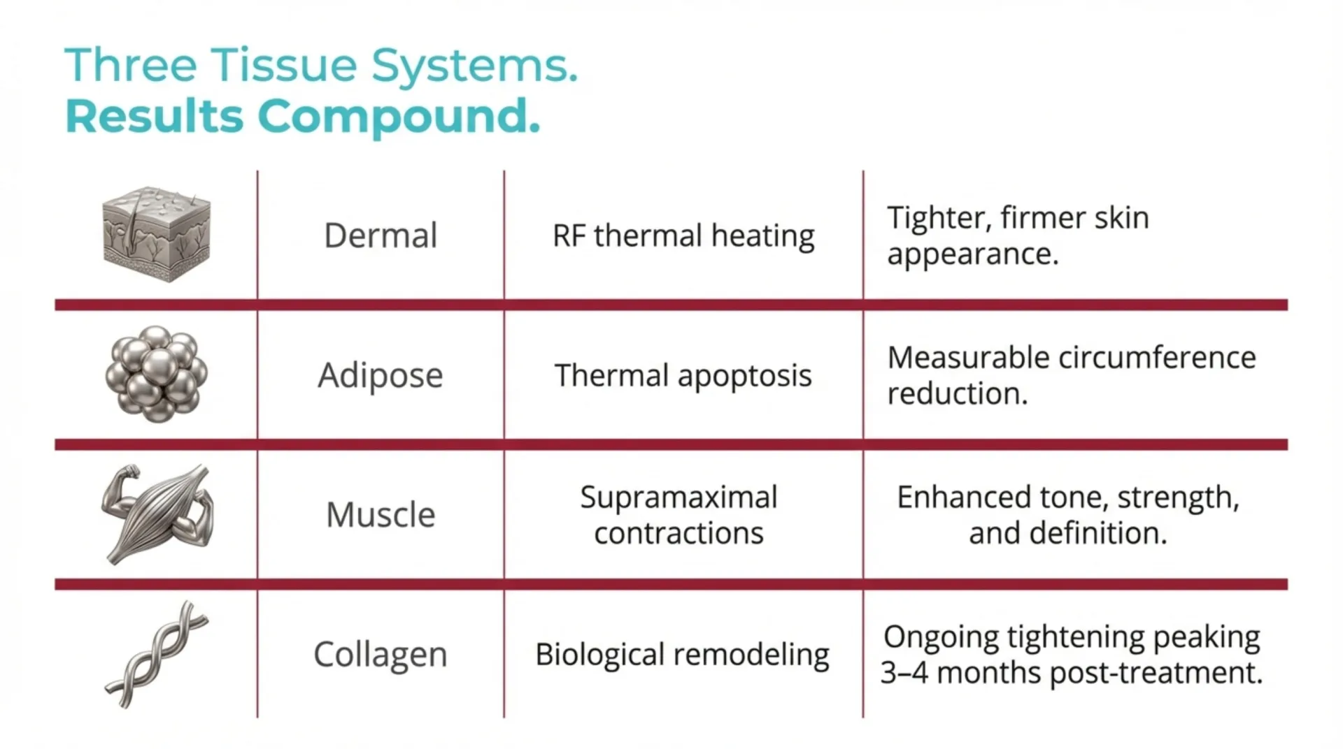Evolve X Transform Protocol Guide — slide 5 of 12