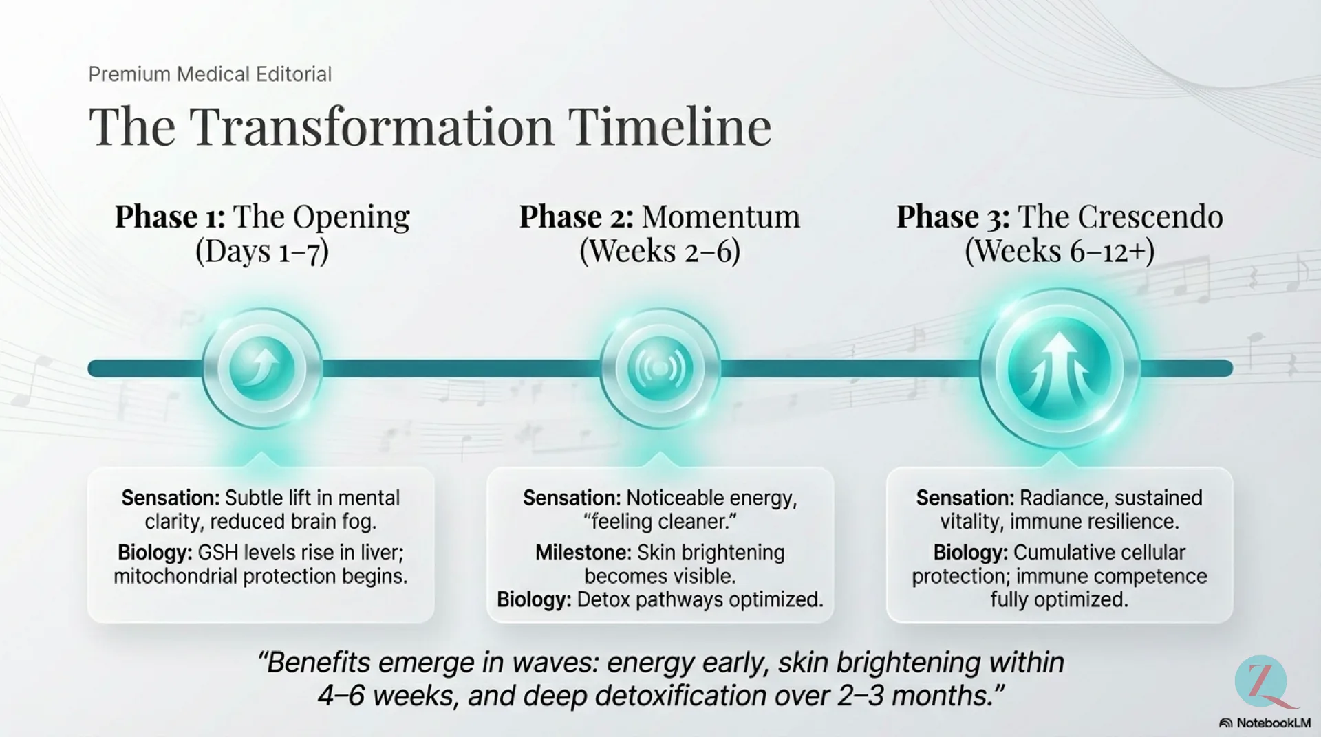 Glutathione Protocol Guide — slide 8 of 12