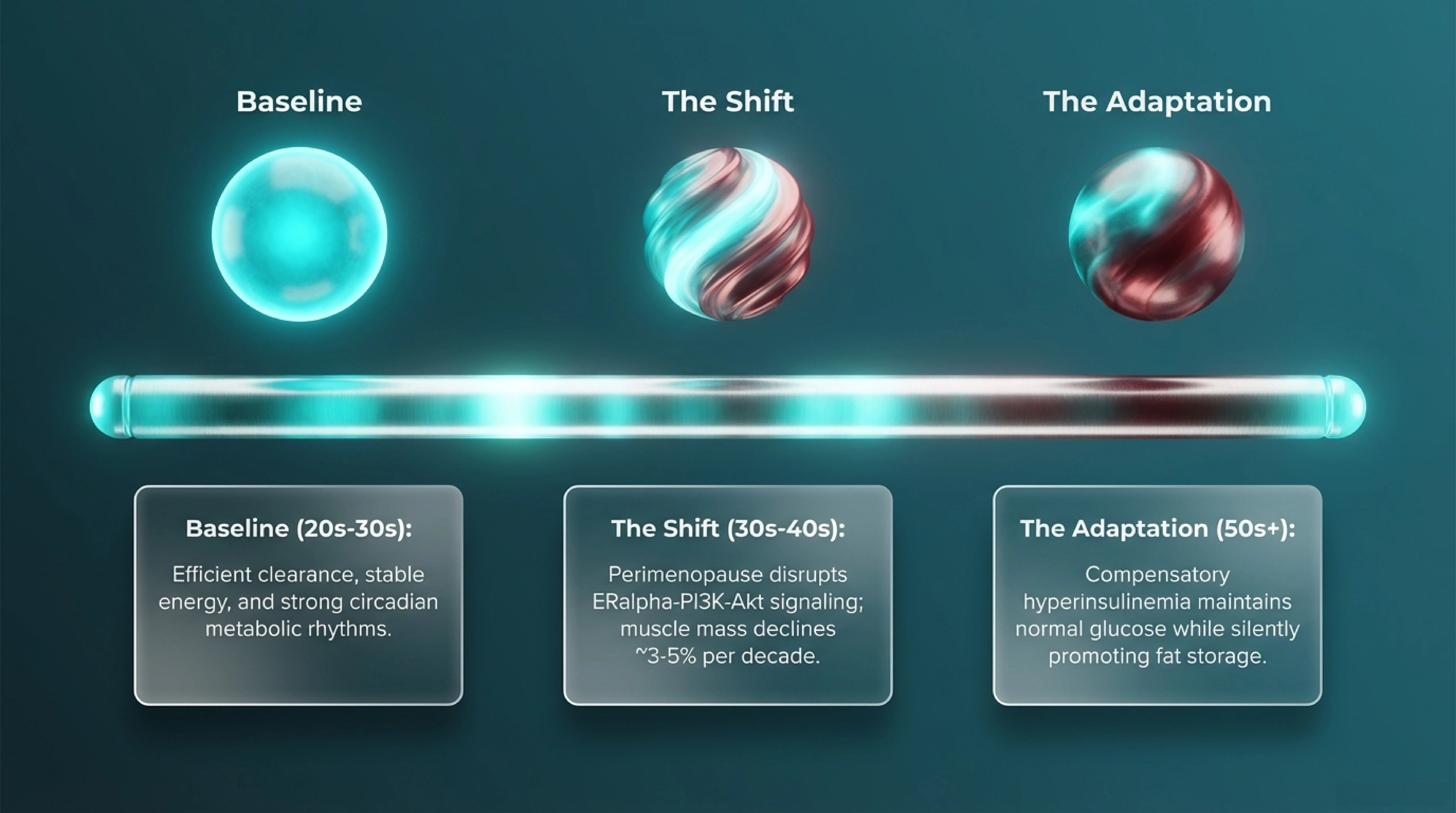 education Protocol Guide — slide 7 of 13