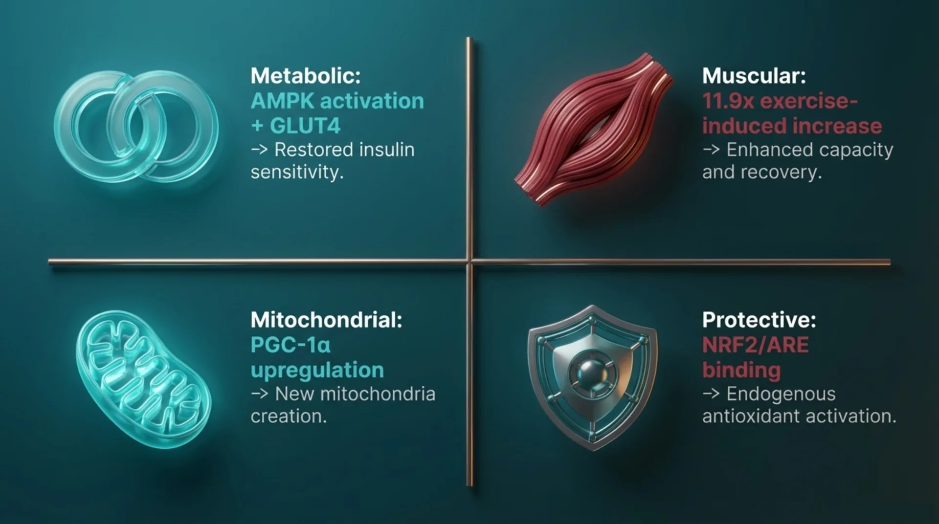 MOTS-c Protocol Guide — slide 5 of 13