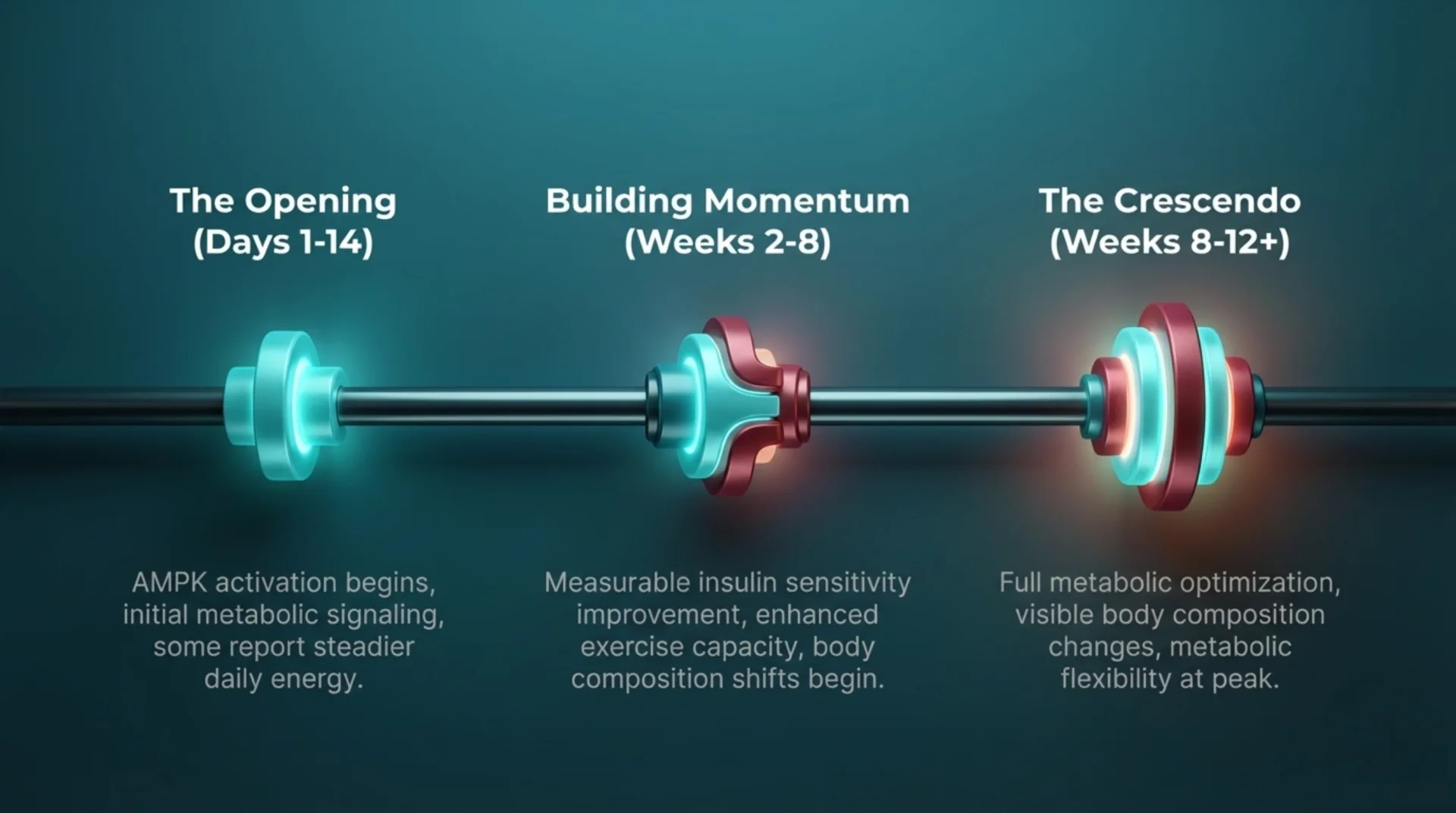 MOTS-c Protocol Guide — slide 7 of 13