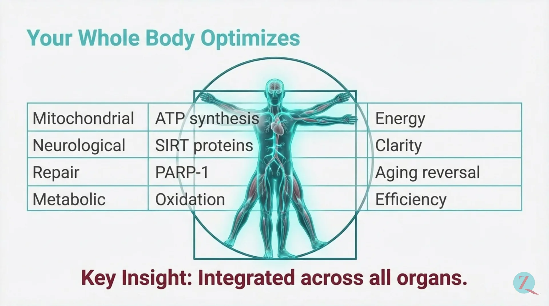 NAD+ Protocol Guide — slide 5 of 12