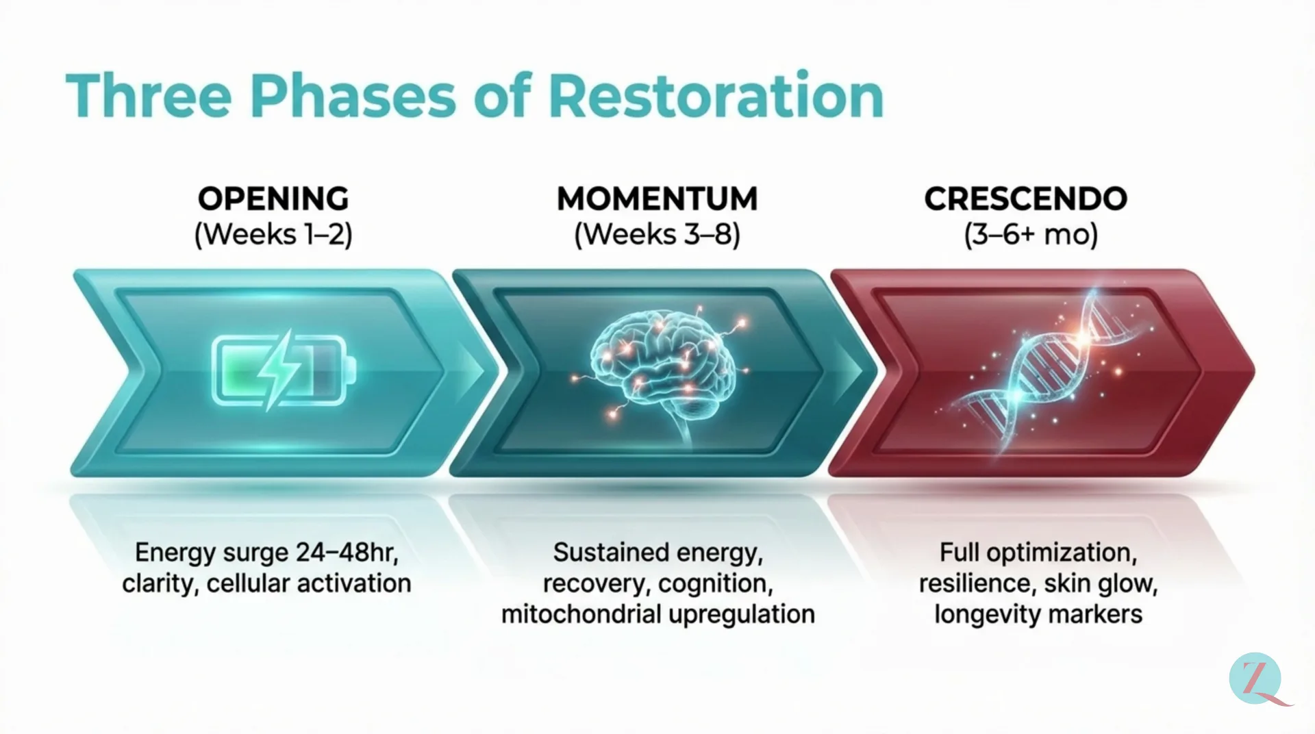 NAD+ Protocol Guide — slide 7 of 12