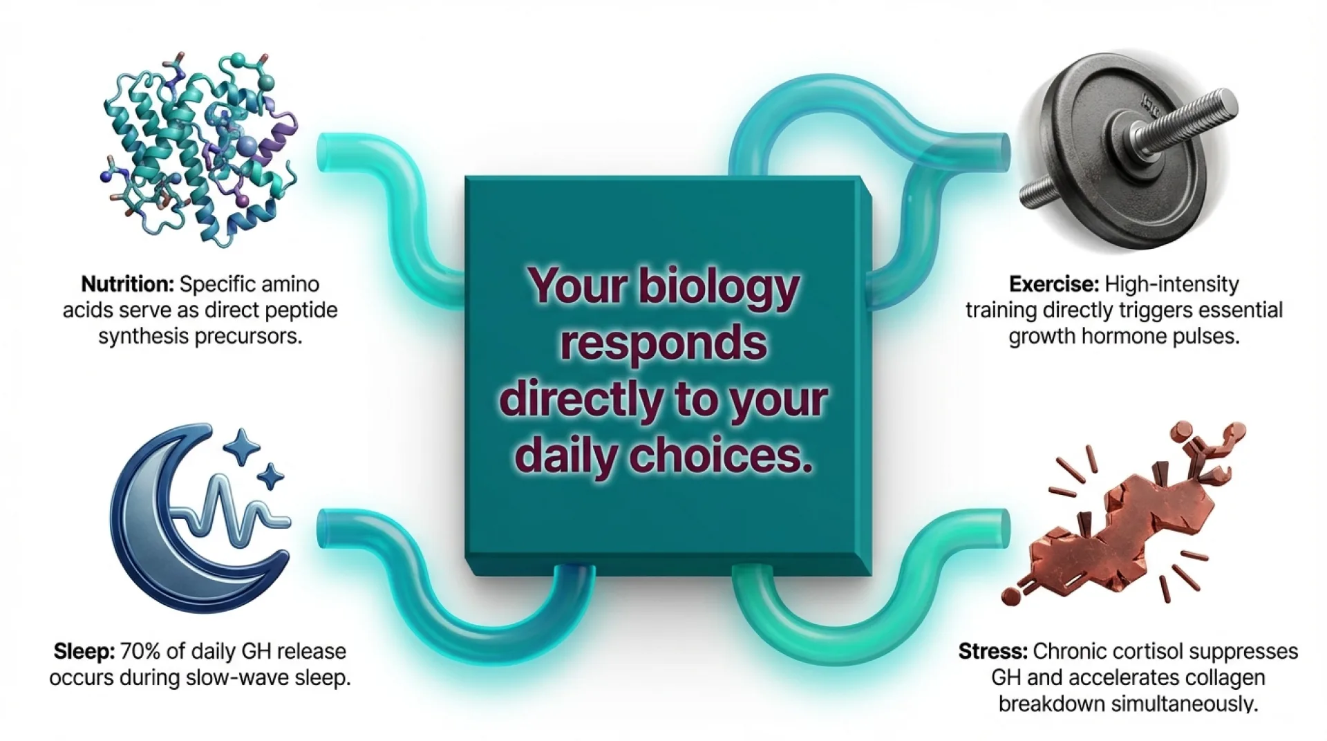 education Protocol Guide — slide 6 of 13