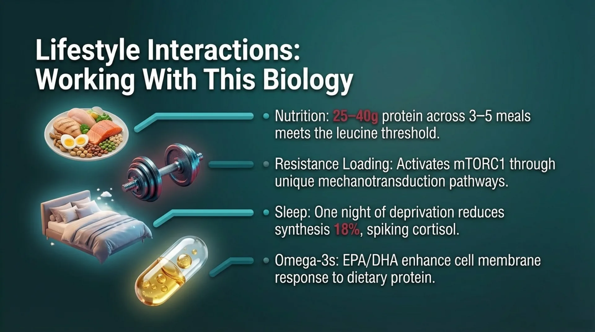 education Protocol Guide — slide 6 of 13