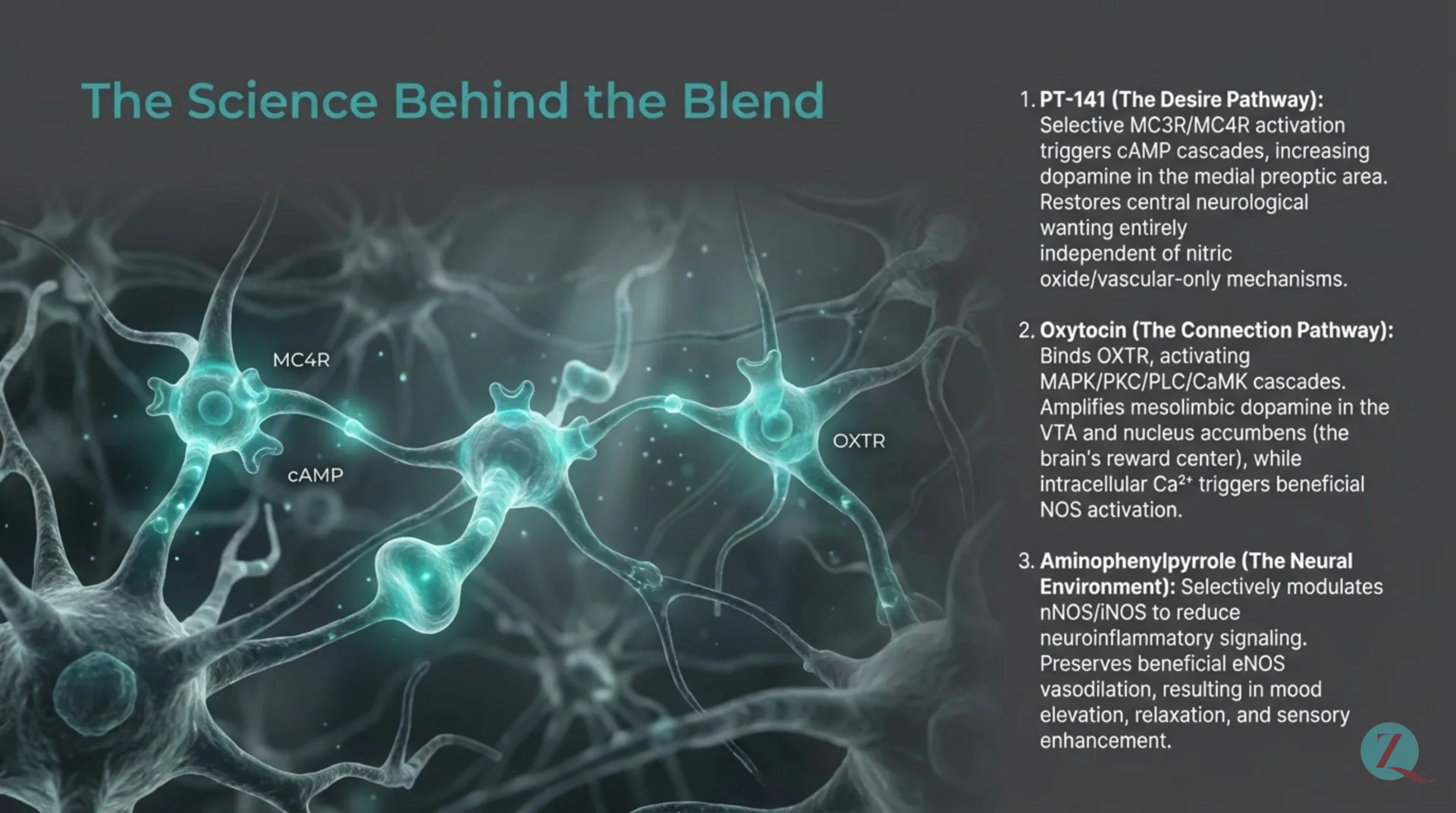 Intimacy Blend Protocol Guide — slide 4 of 12