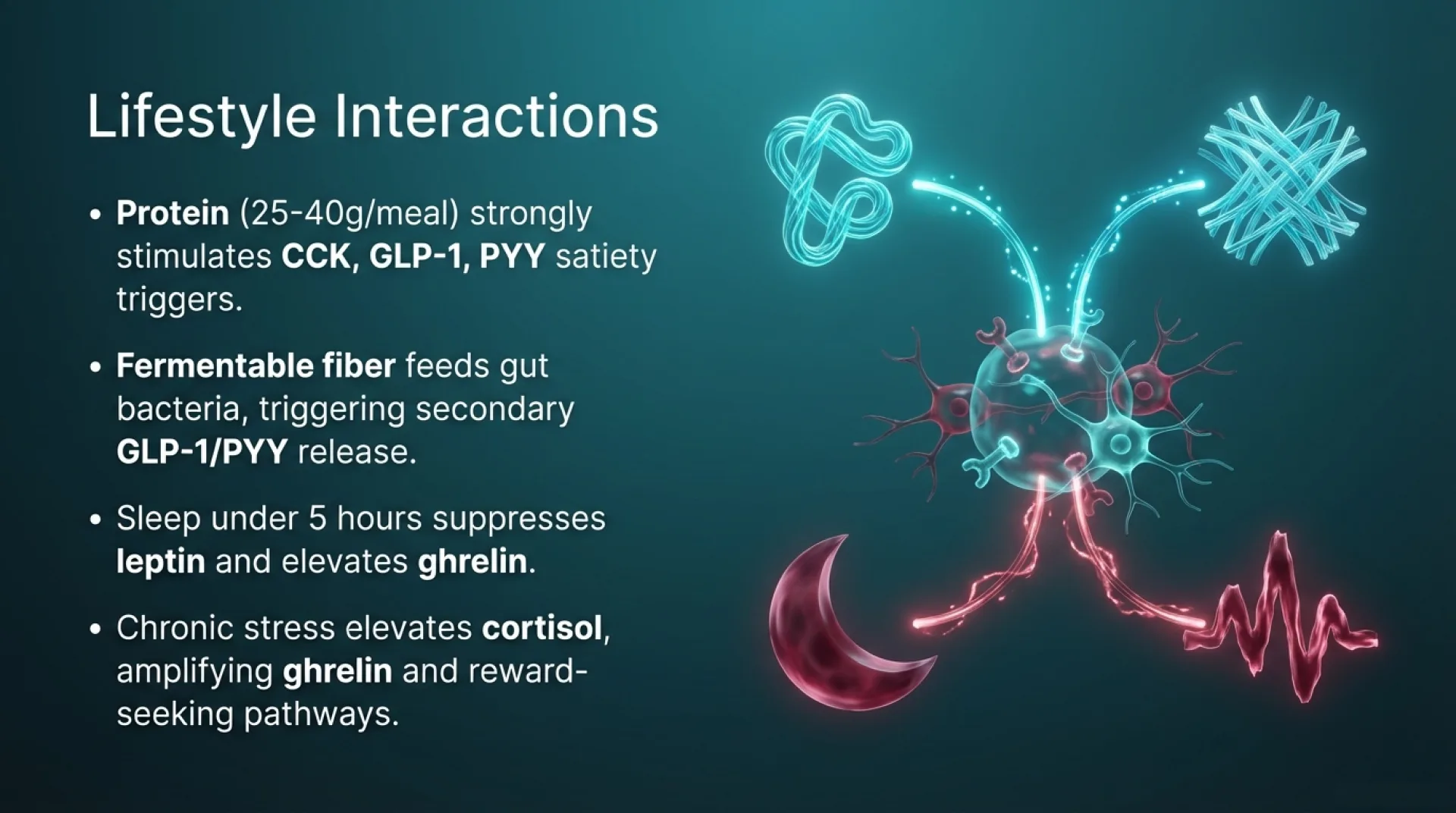 education Protocol Guide — slide 6 of 13