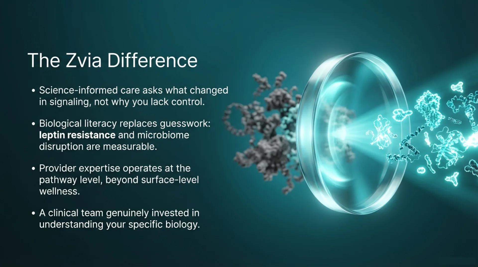 education Protocol Guide — slide 11 of 13