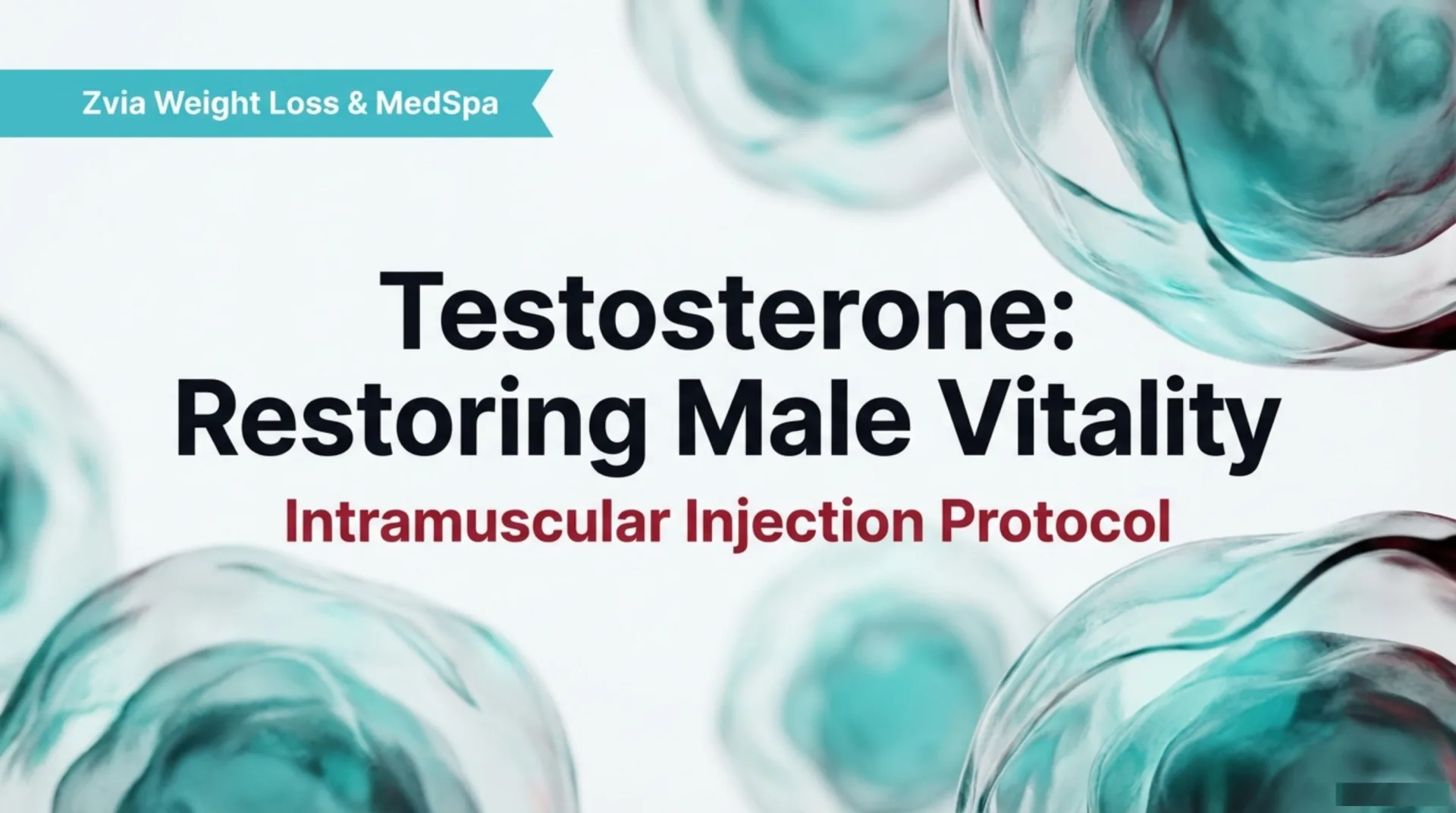Testosterone Protocol Guide — slide 1 of 12