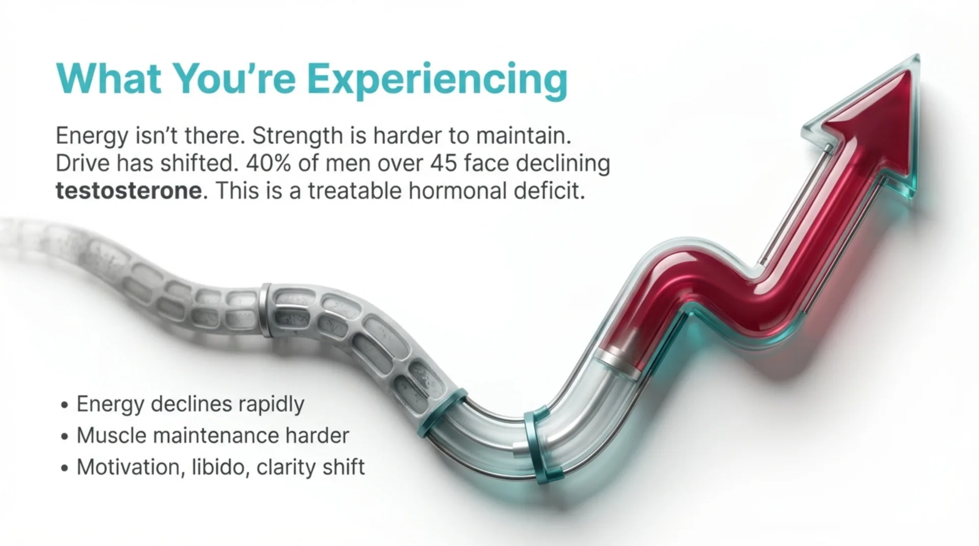 Testosterone Protocol Guide — slide 2 of 12