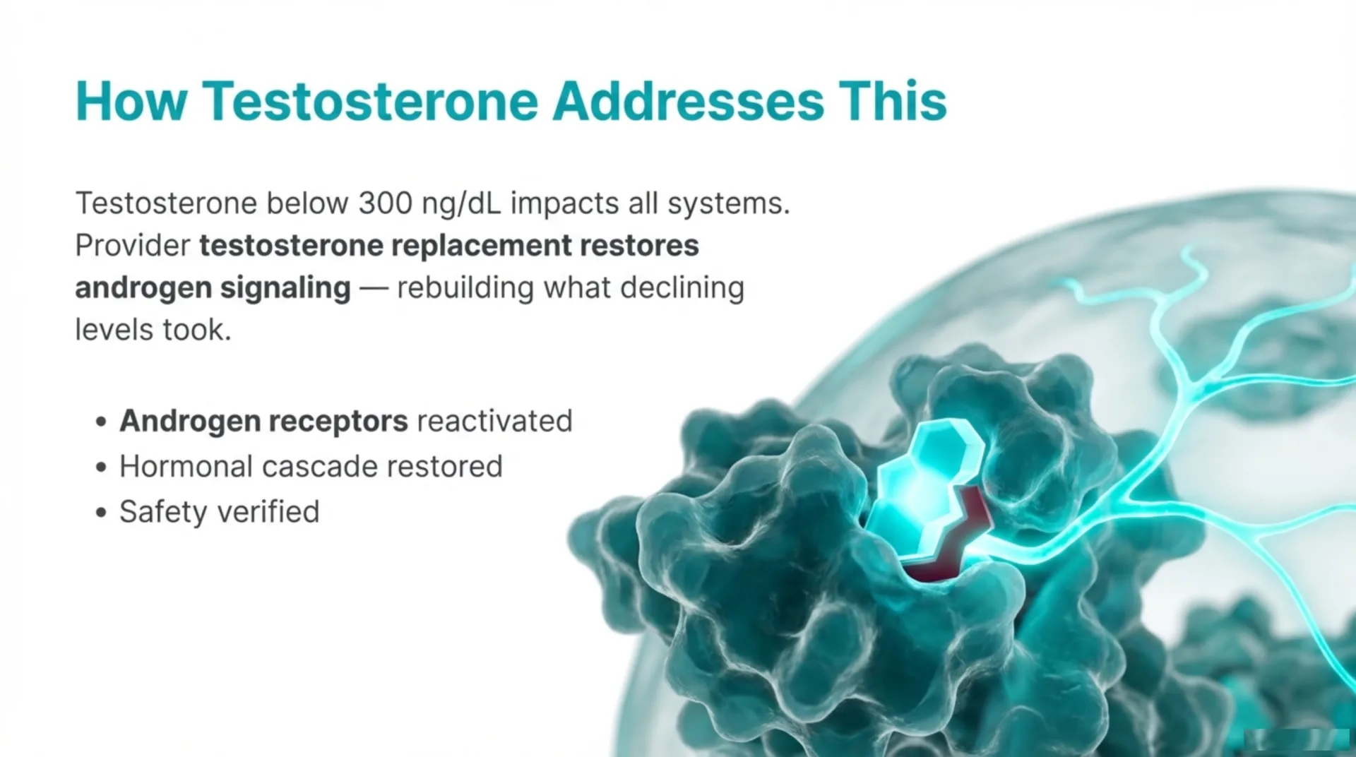 Testosterone Protocol Guide — slide 3 of 12