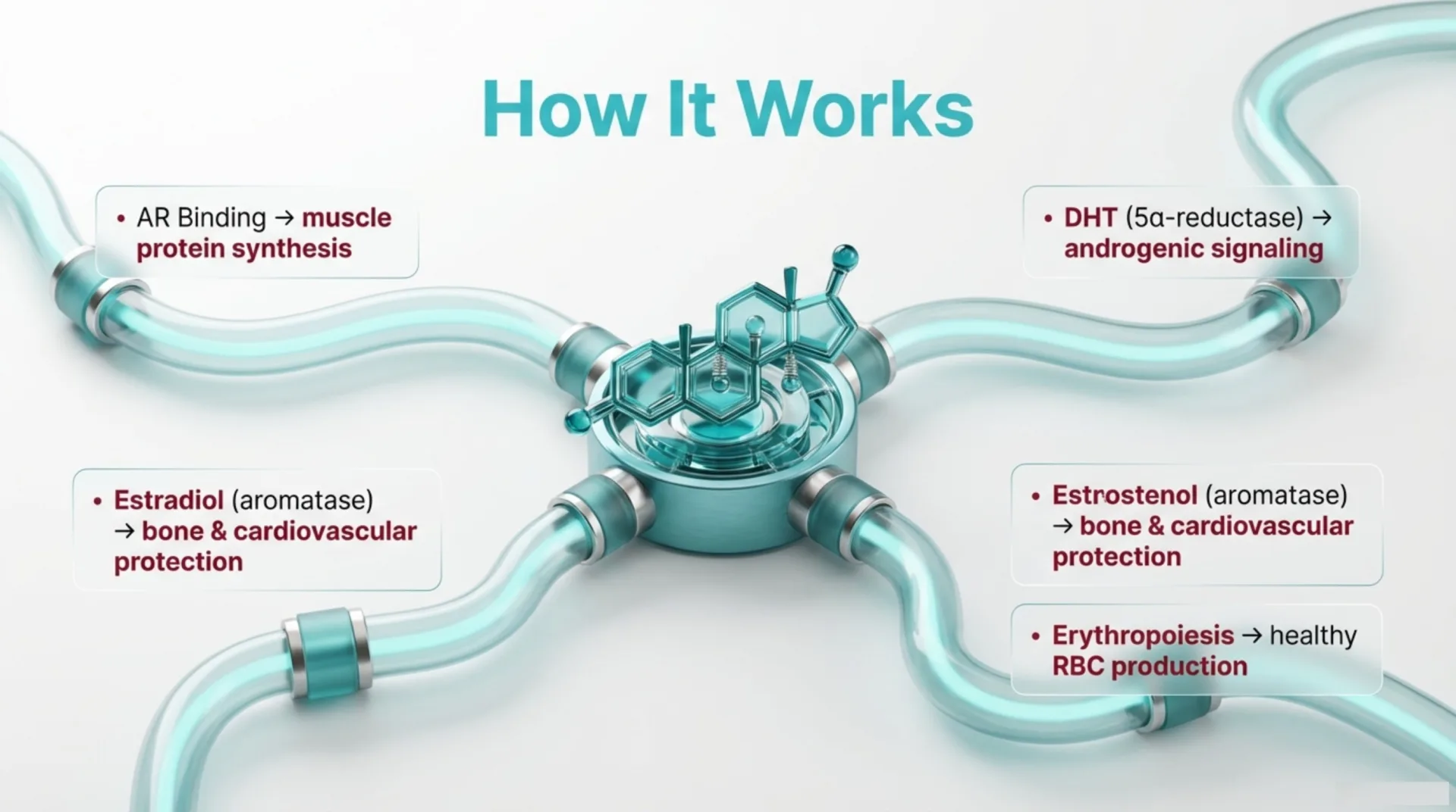 Testosterone Protocol Guide — slide 4 of 12