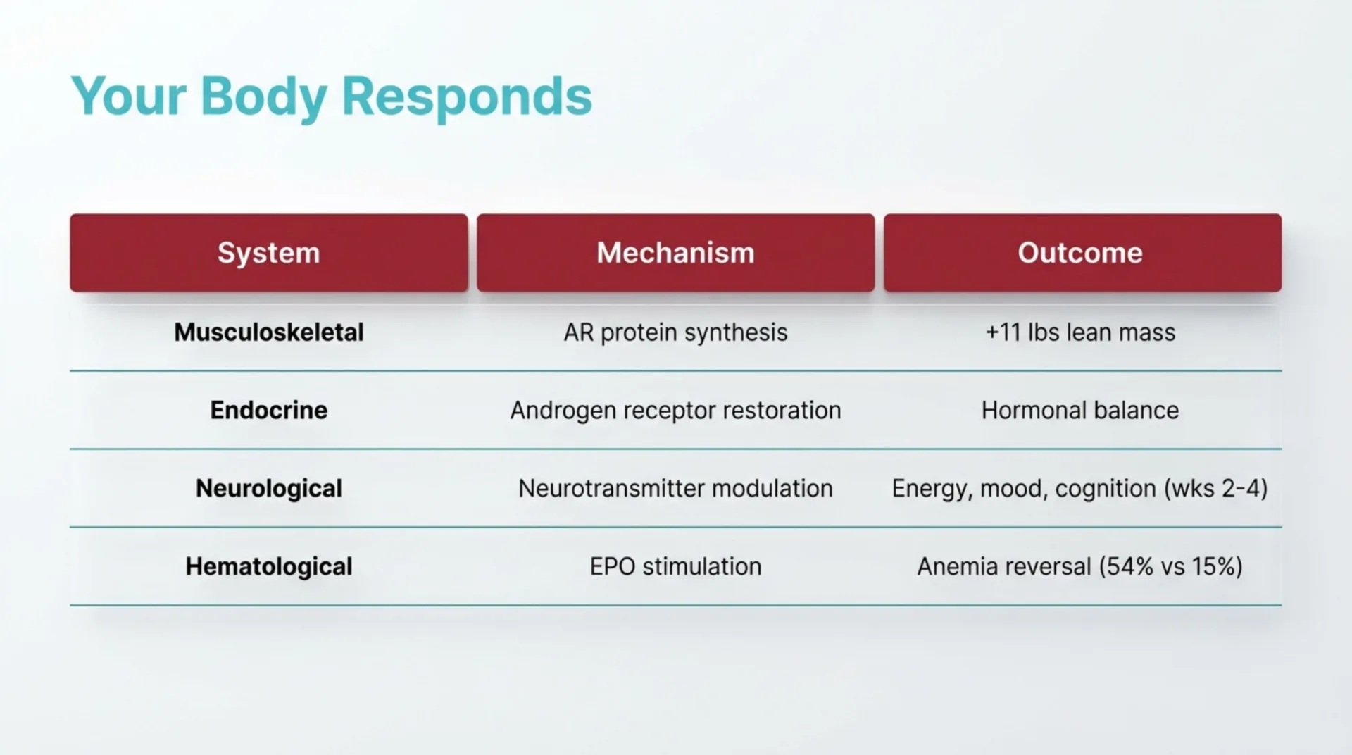 Testosterone Protocol Guide — slide 5 of 12