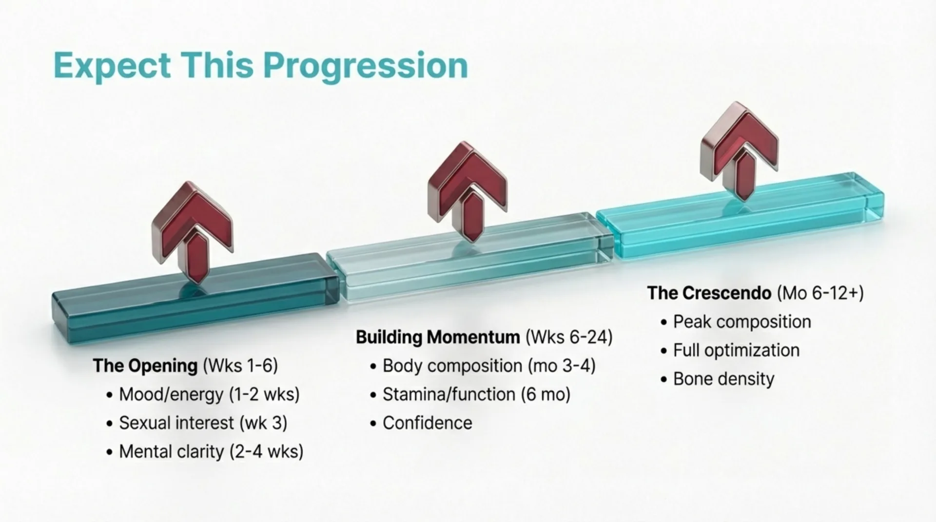 Testosterone Protocol Guide — slide 7 of 12