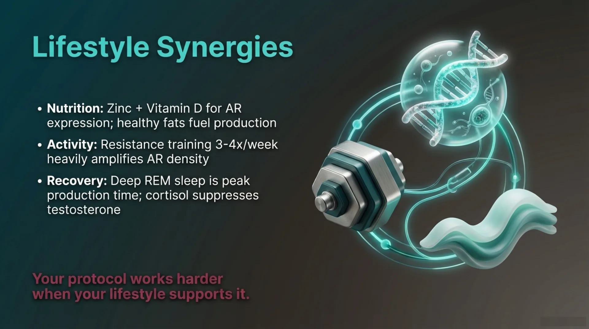 Testosterone Protocol Guide — slide 8 of 13