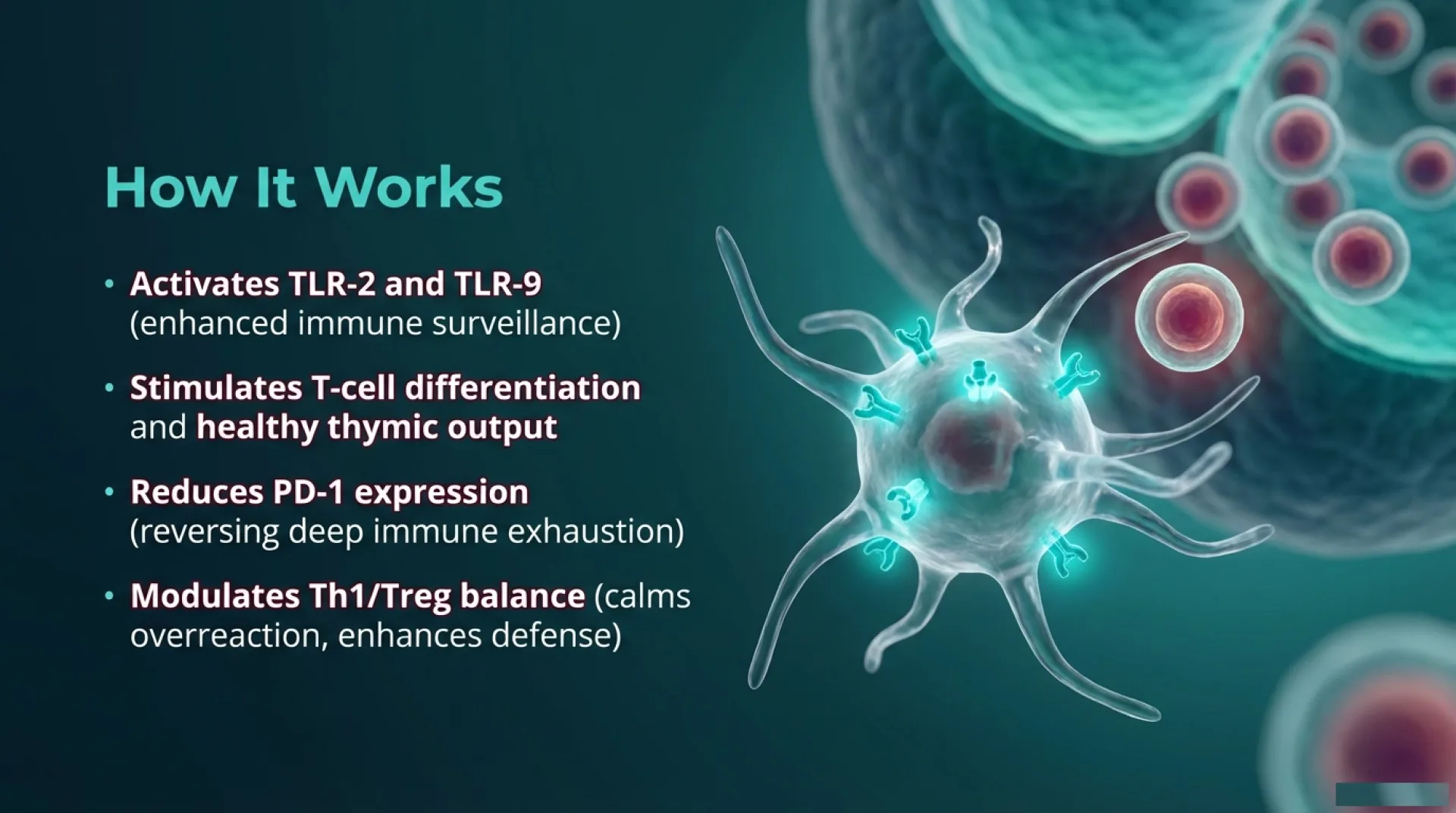 Thymosin Alpha-1 Protocol Guide — slide 4 of 13