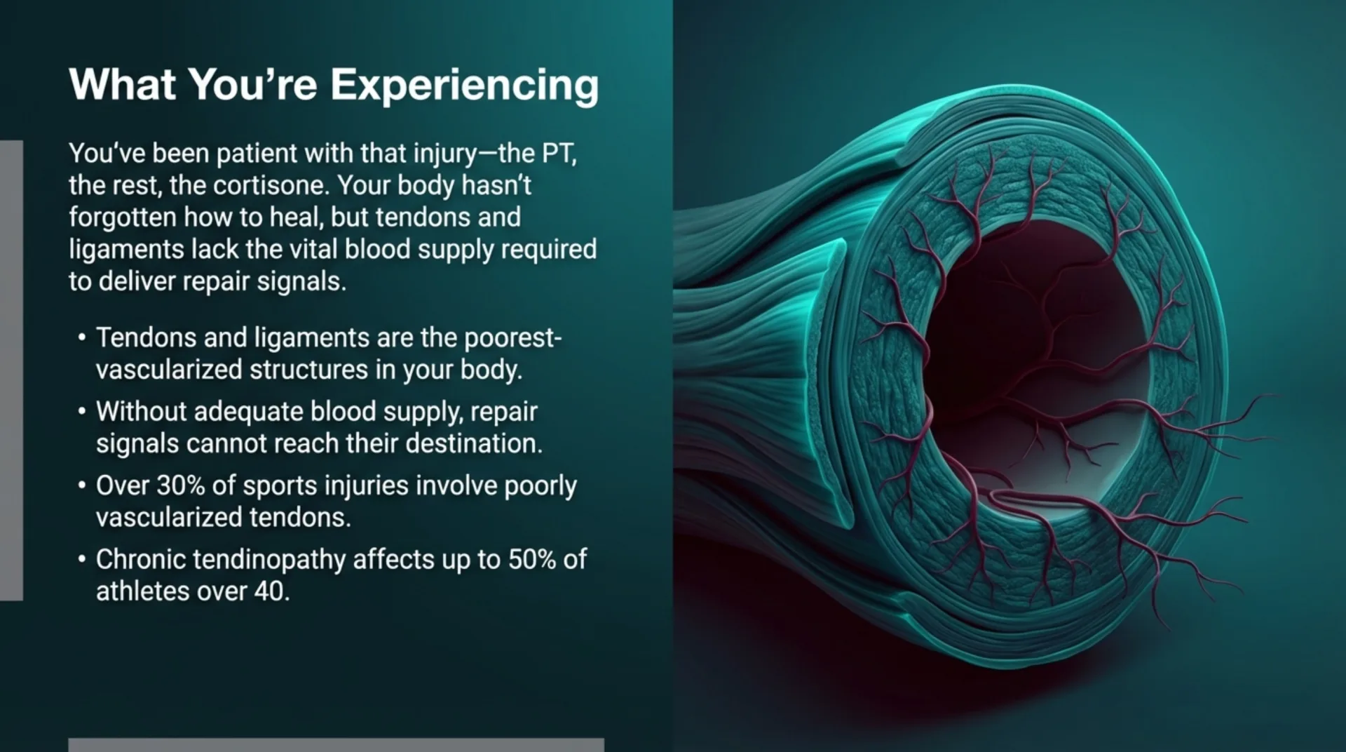 BPC-157/TB-500 Protocol Guide — slide 2 of 13