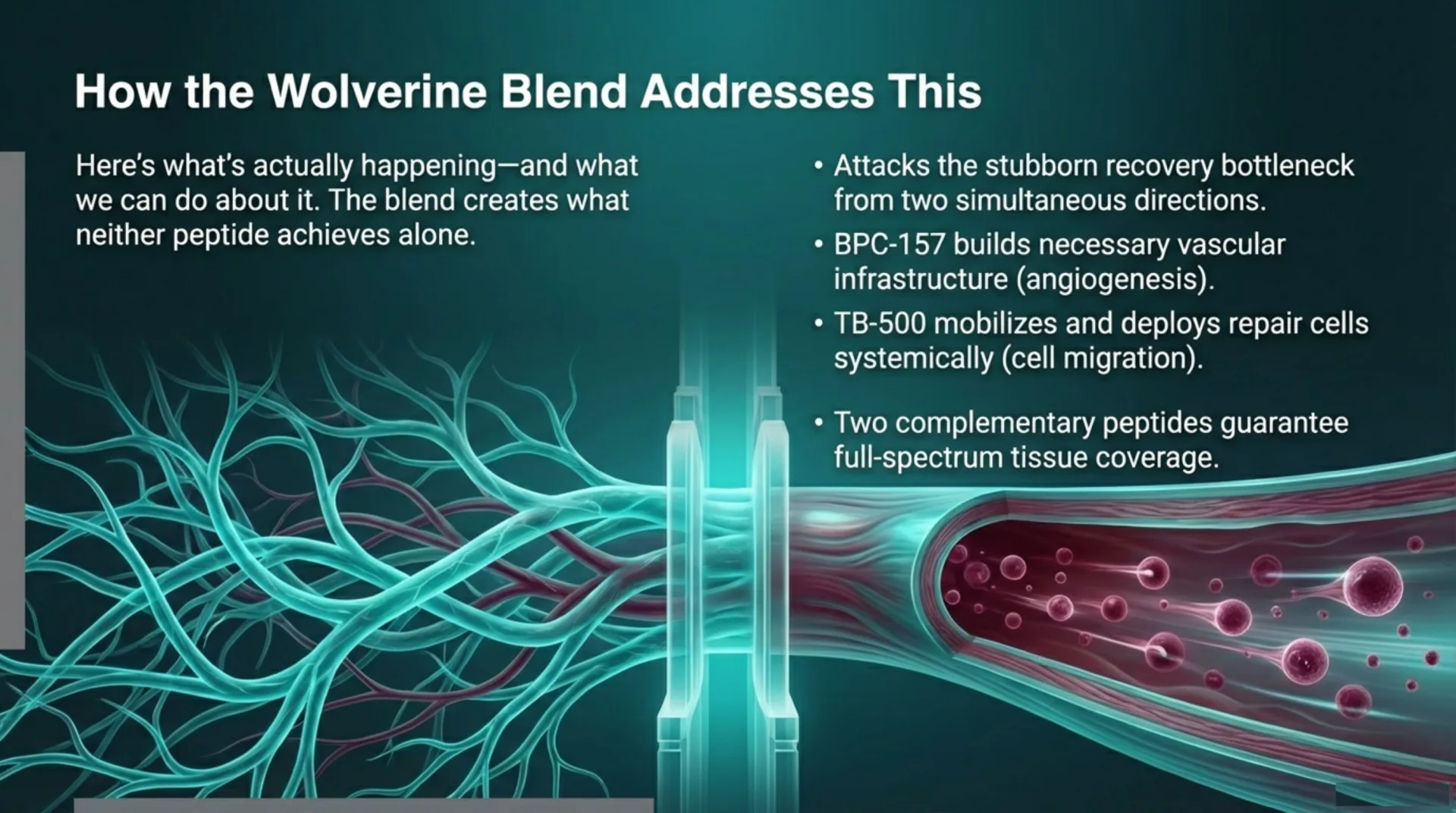 BPC-157/TB-500 Protocol Guide — slide 3 of 13
