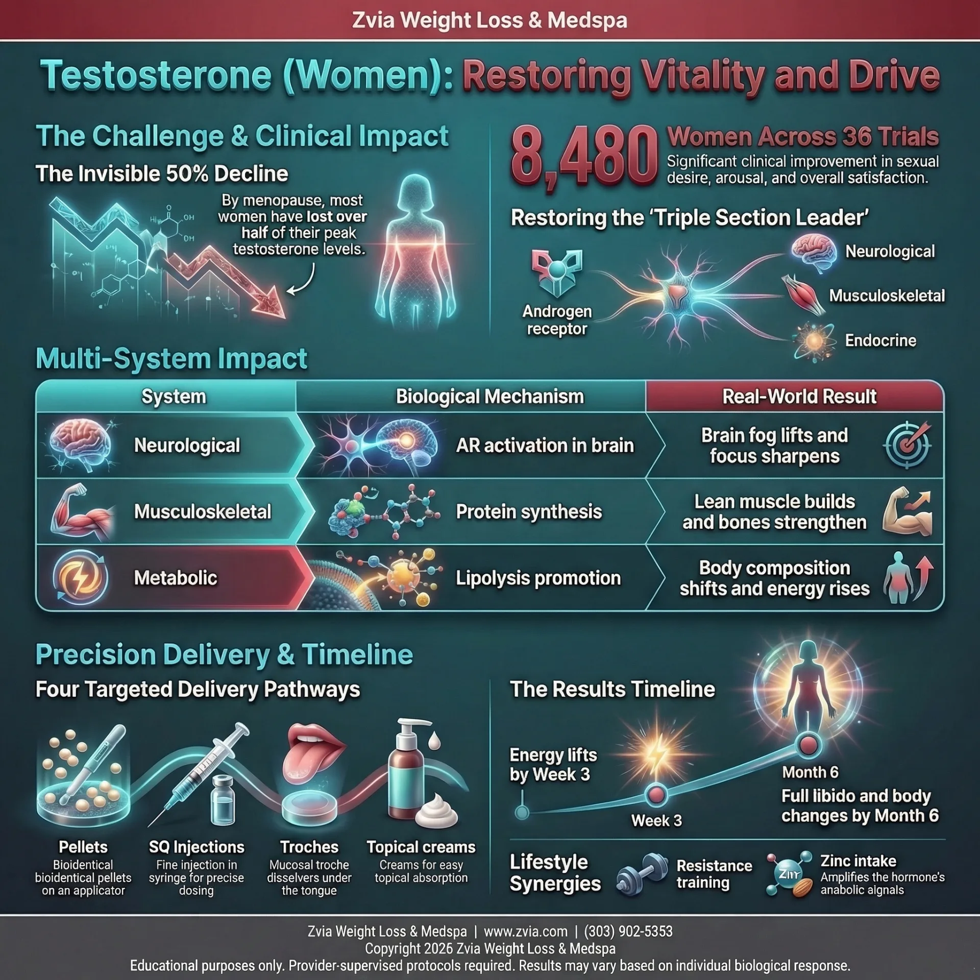 Testosterone treatment overview — benefits, dosing, and clinical protocol infographic