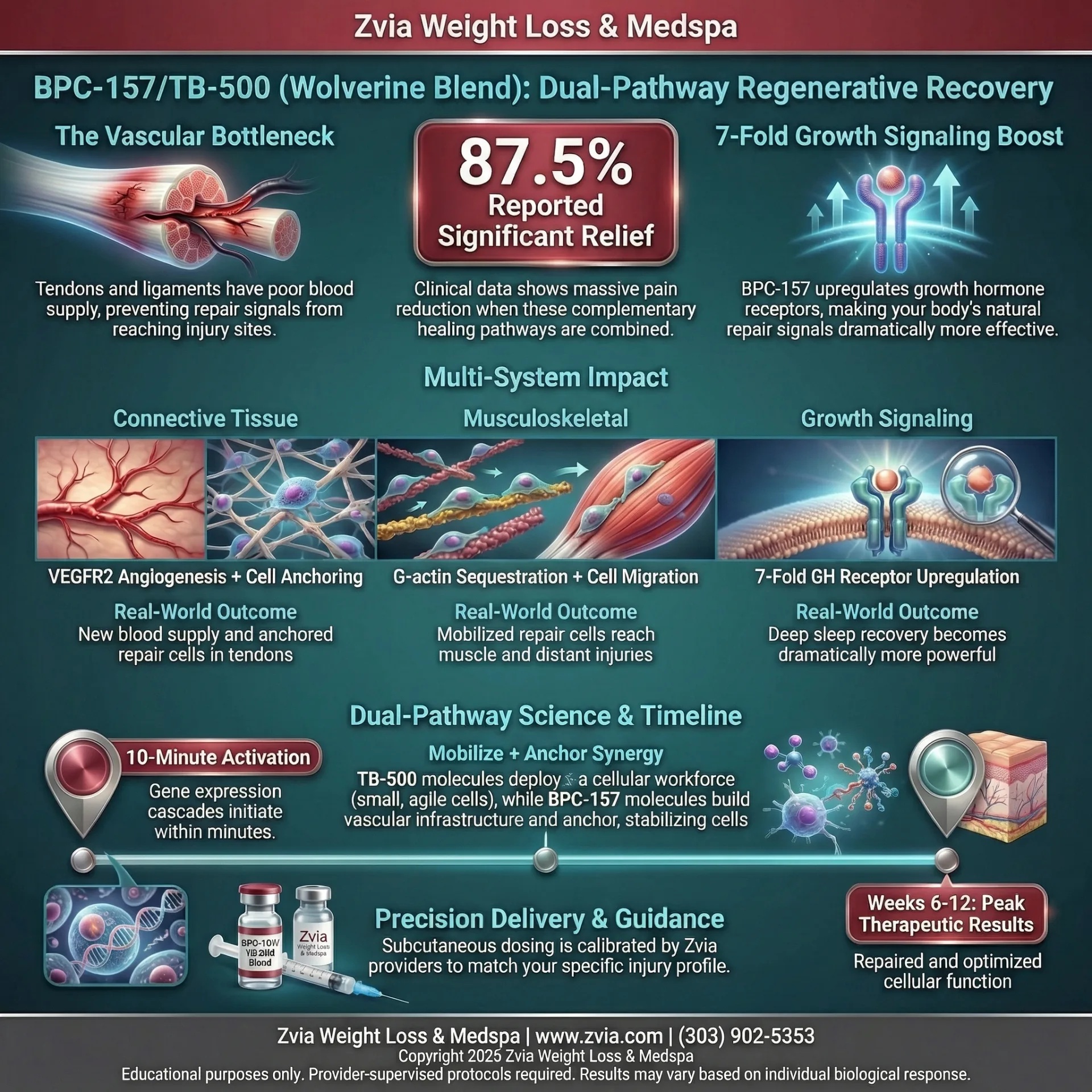 BPC-157/TB-500 treatment overview — benefits, dosing, and clinical protocol infographic