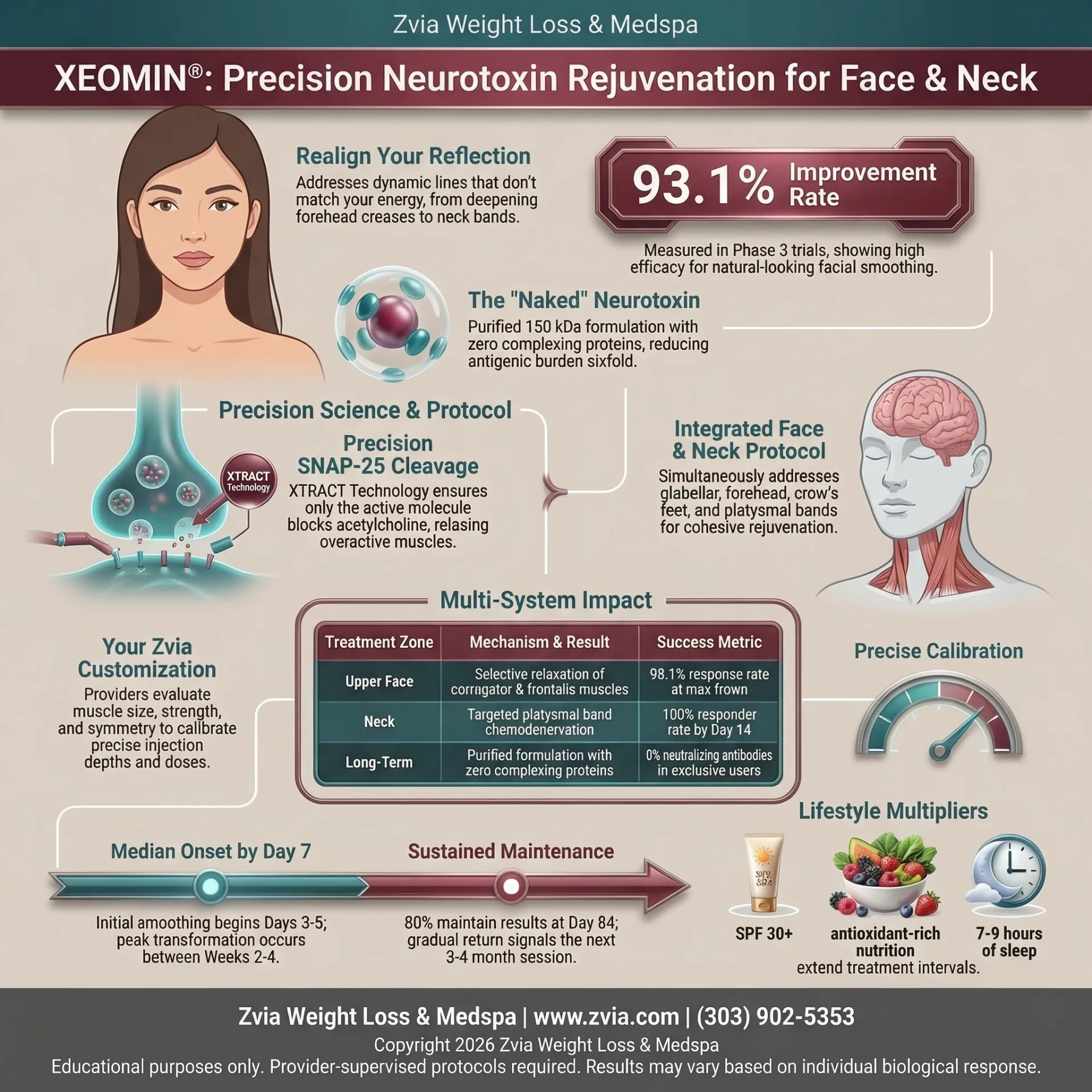 XEOMIN® treatment overview — procedure details, expected results, and care guide infographic